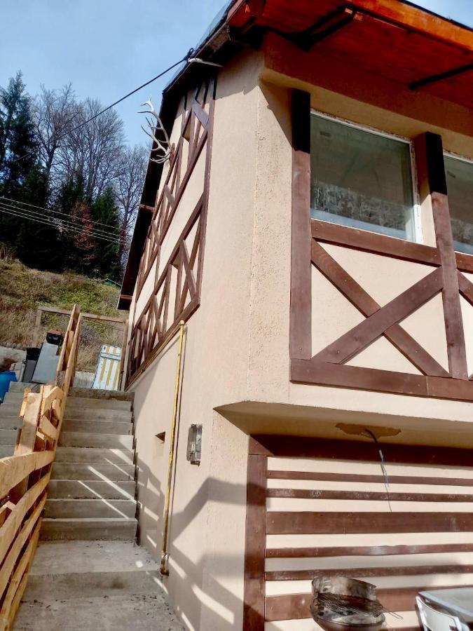 Doi Iepuri Apartment Azuga Exterior photo